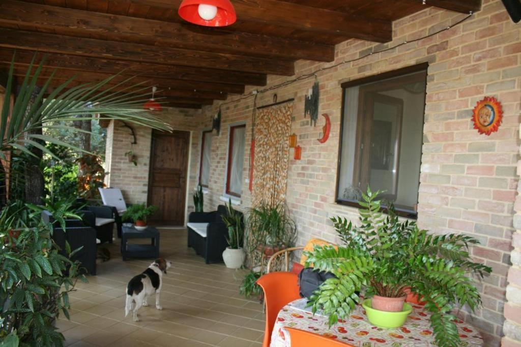 فندق كاستياداسفي  Casa Campagna المظهر الخارجي الصورة